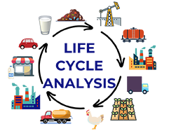 graphic representation of of life cycle analysis